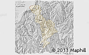 Shaded Relief 3D Map of Thimphu, desaturated