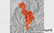 Political Map of Thimphu, lighten, desaturated