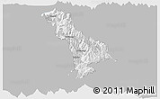 Gray Panoramic Map of Thimphu, single color outside