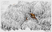 Physical Panoramic Map of Thimphu, lighten, desaturated