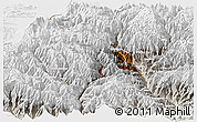 Physical Panoramic Map of Thimphu, lighten, semi-desaturated