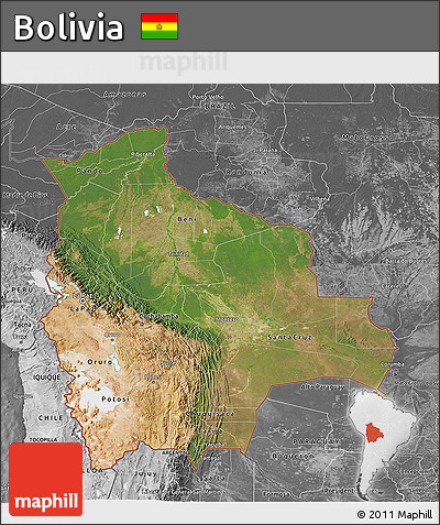 Satellite 3D Map of Bolivia, desaturated