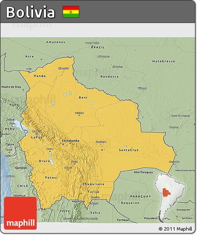 Savanna Style 3D Map of Bolivia