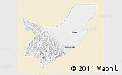 Classic Style 3D Map of Chapare, single color outside