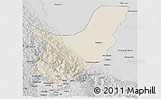 Shaded Relief 3D Map of Chapare, desaturated