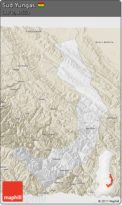 Classic Style 3D Map of Sud Yungas