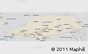 Shaded Relief Panoramic Map of L.Cabrera, desaturated