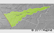 Physical 3D Map of Manuripi, desaturated