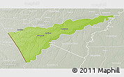 Physical 3D Map of Manuripi, lighten, semi-desaturated