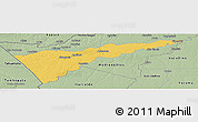 Savanna Style Panoramic Map of Manuripi