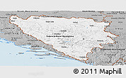 Gray Panoramic Map of Bosnia and Herzegovina