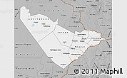 Gray Map of Central Region