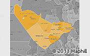 Political Shades Map of Central Region, desaturated