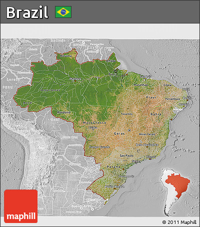 Satellite 3D Map of Brazil, lighten, desaturated