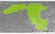 Physical Panoramic Map of Borba, desaturated