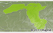 Physical Panoramic Map of Borba, semi-desaturated