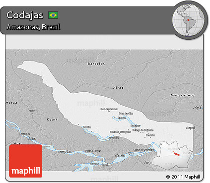 Gray 3D Map of Codajas