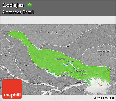 Political 3D Map of Codajas, desaturated