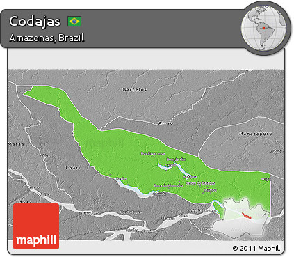 Political 3D Map of Codajas, desaturated