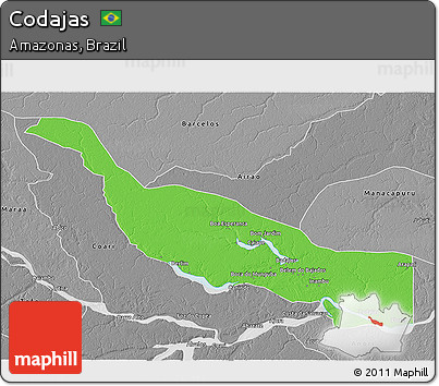 Political 3D Map of Codajas, desaturated