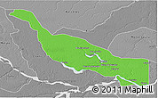 Political 3D Map of Codajas, desaturated