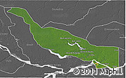 Satellite 3D Map of Codajas, desaturated