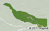 Satellite 3D Map of Codajas, lighten