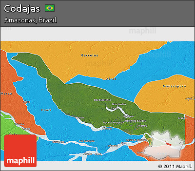 Satellite 3D Map of Codajas, political outside