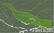 Satellite 3D Map of Codajas, semi-desaturated