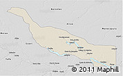 Shaded Relief 3D Map of Codajas, desaturated