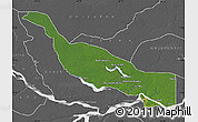 Satellite Map of Codajas, desaturated