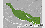 Satellite Map of Codajas, lighten, desaturated