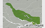 Satellite Map of Codajas, lighten, semi-desaturated