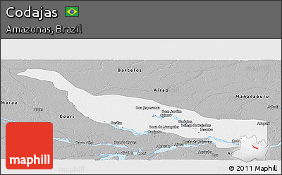 Gray Panoramic Map of Codajas