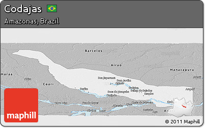 Gray Panoramic Map of Codajas