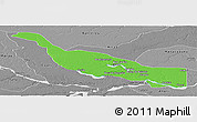 Political Panoramic Map of Codajas, desaturated