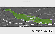 Satellite Panoramic Map of Codajas, desaturated