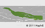 Satellite Panoramic Map of Codajas, lighten, desaturated