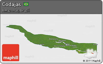 Satellite Panoramic Map of Codajas, single color outside