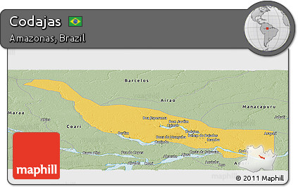 Savanna Style Panoramic Map of Codajas