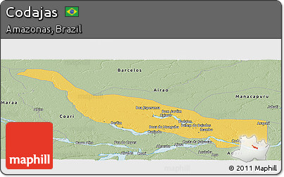 Savanna Style Panoramic Map of Codajas