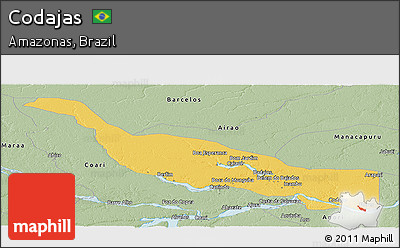 Savanna Style Panoramic Map of Codajas