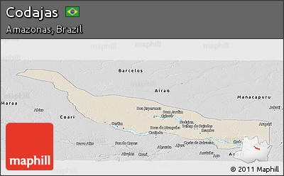 Shaded Relief Panoramic Map of Codajas, desaturated