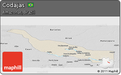 Shaded Relief Panoramic Map of Codajas, desaturated