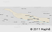 Shaded Relief Panoramic Map of Codajas, desaturated