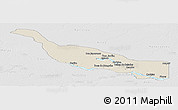 Shaded Relief Panoramic Map of Codajas, lighten, desaturated