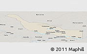 Shaded Relief Panoramic Map of Codajas, semi-desaturated