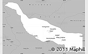 Gray Simple Map of Codajas