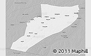 Gray 3D Map of Eirunepe