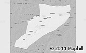 Gray Map of Eirunepe